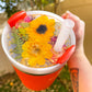 Dried flower Stanley 40oz lid plate